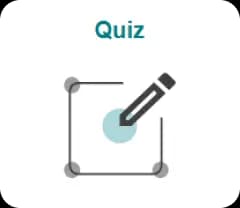 Interactive Quizzes